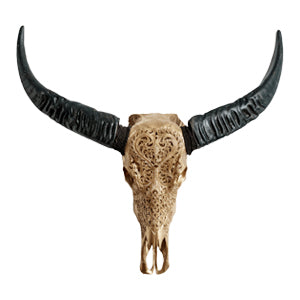 Buffalo Skulls