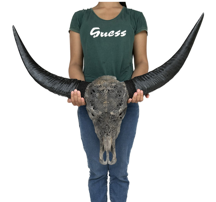 Hell Born Carved Bull Skull