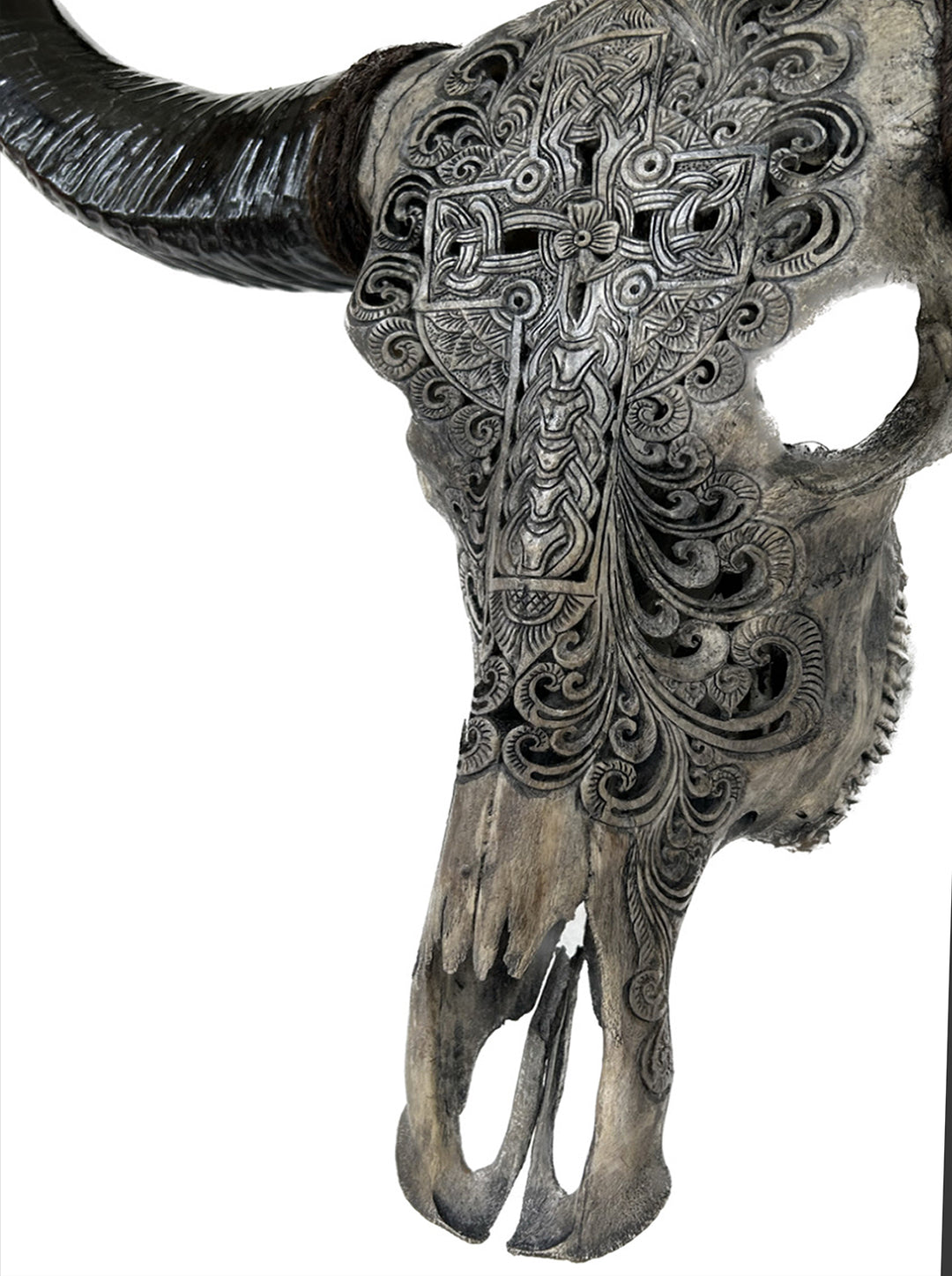Sacred Cross Carved Bull Skull