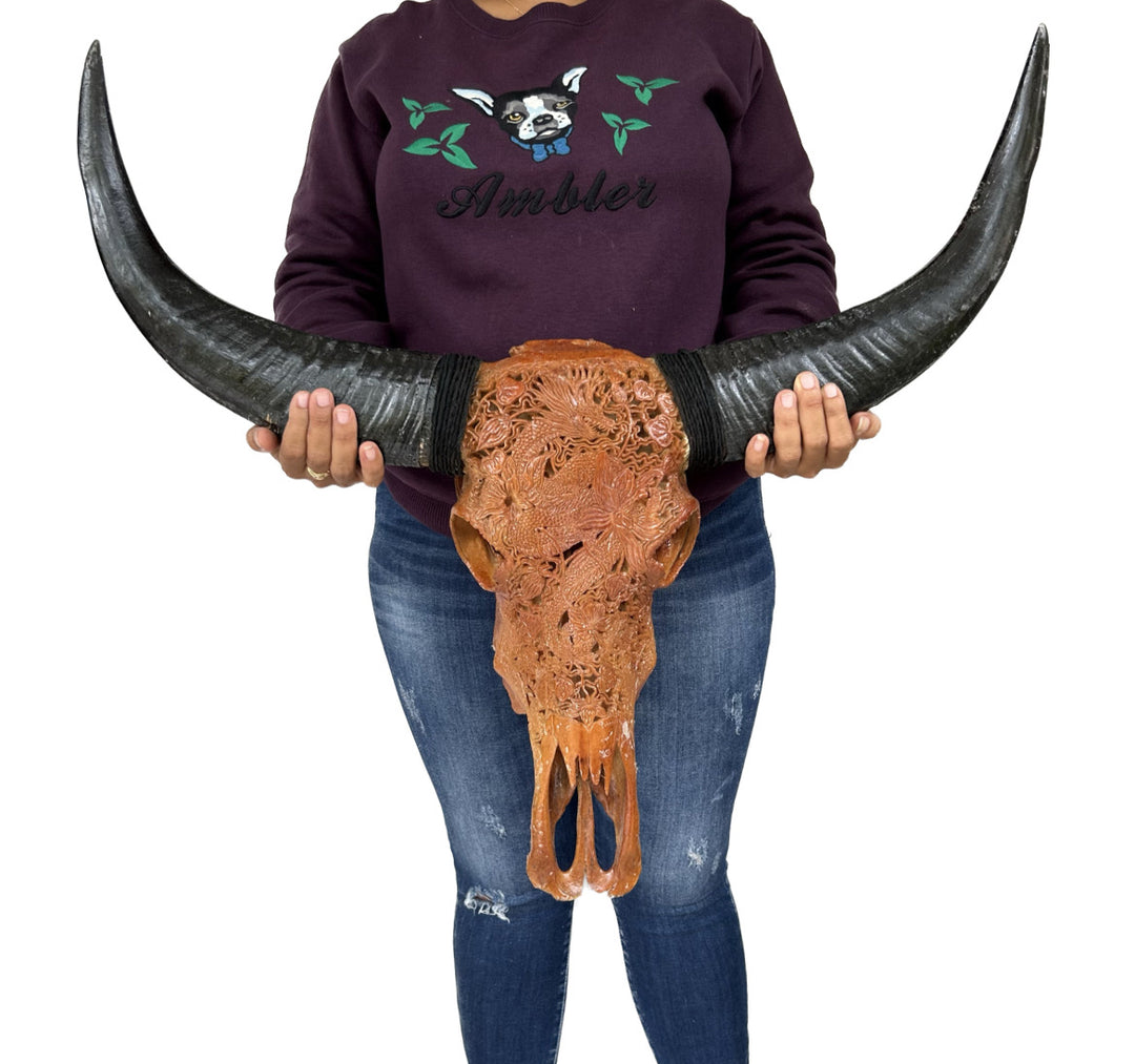 Dragon Emperor Bull Skull