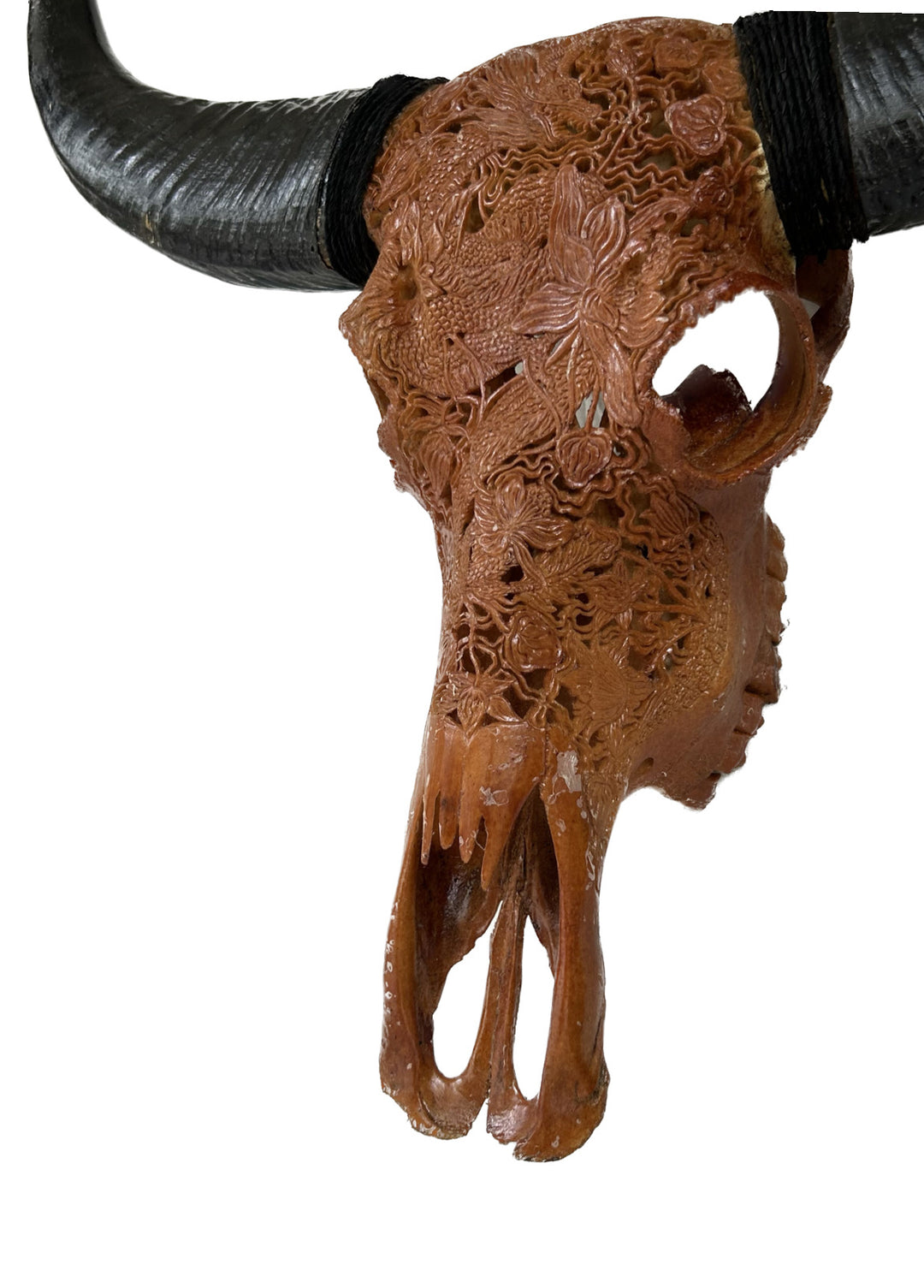 Dragon Emperor Bull Skull