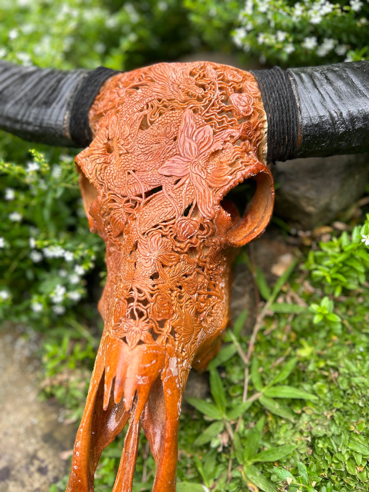 Dragon Emperor Bull Skull