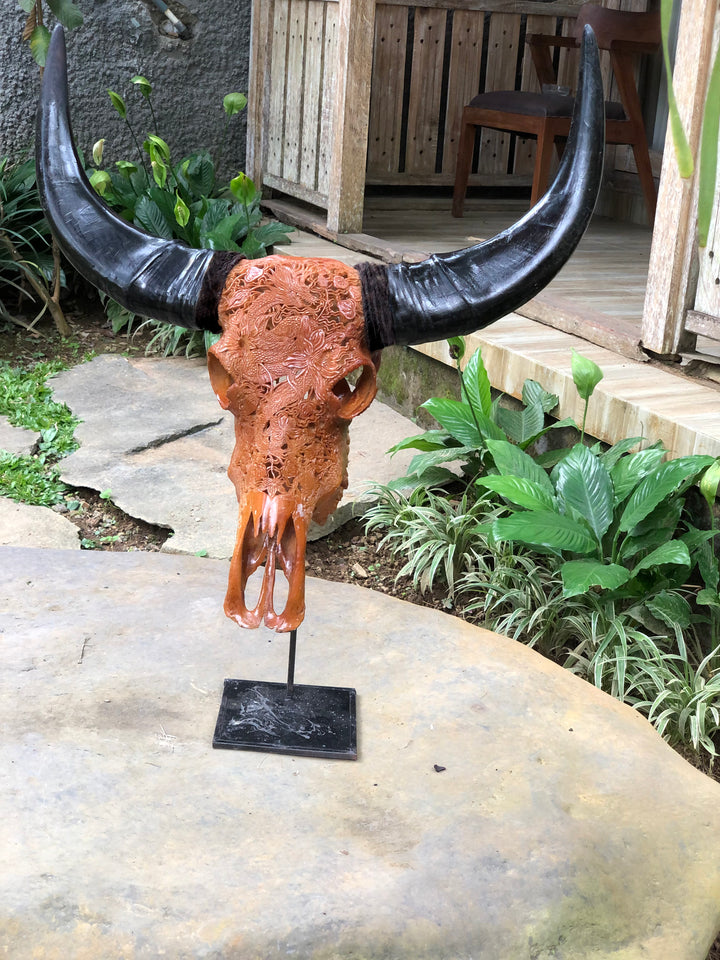 Dragon Emperor Bull Skull