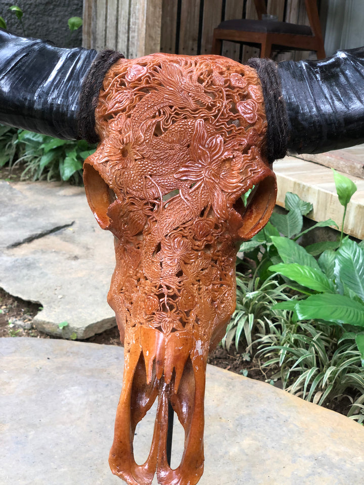 Dragon Emperor Bull Skull