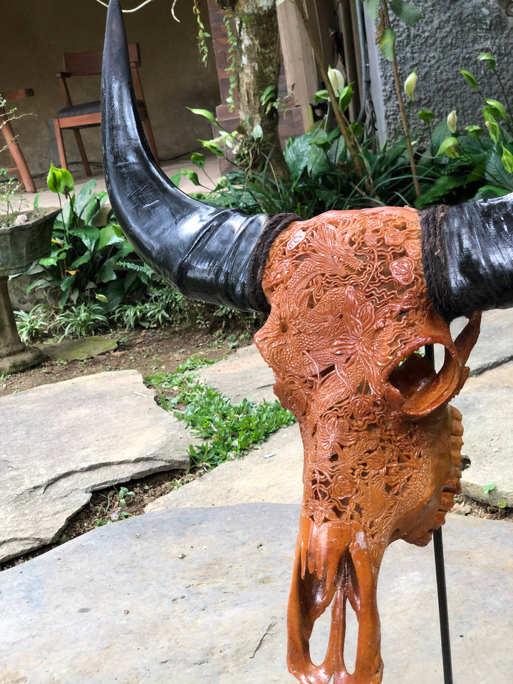 Dragon Emperor Bull Skull