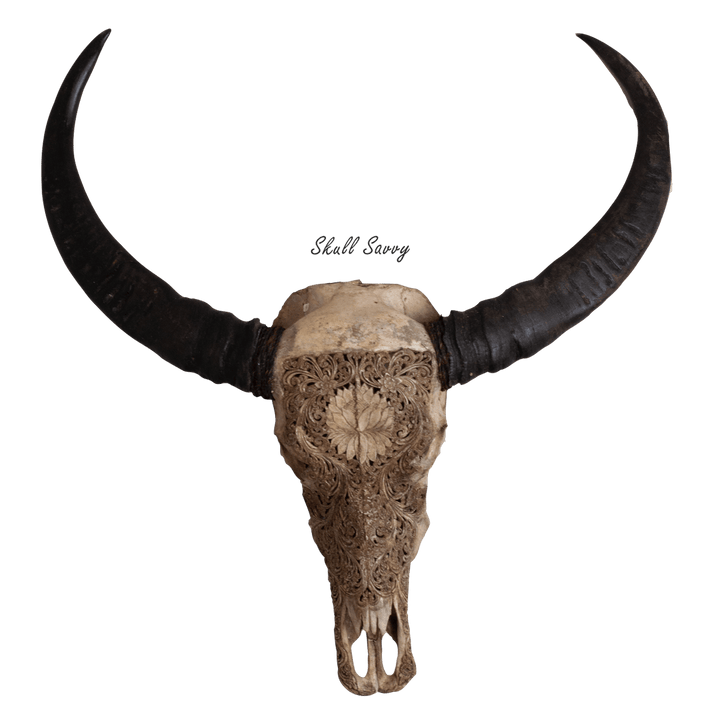 Lotus Evolve Antique Buffalo Carved Skull