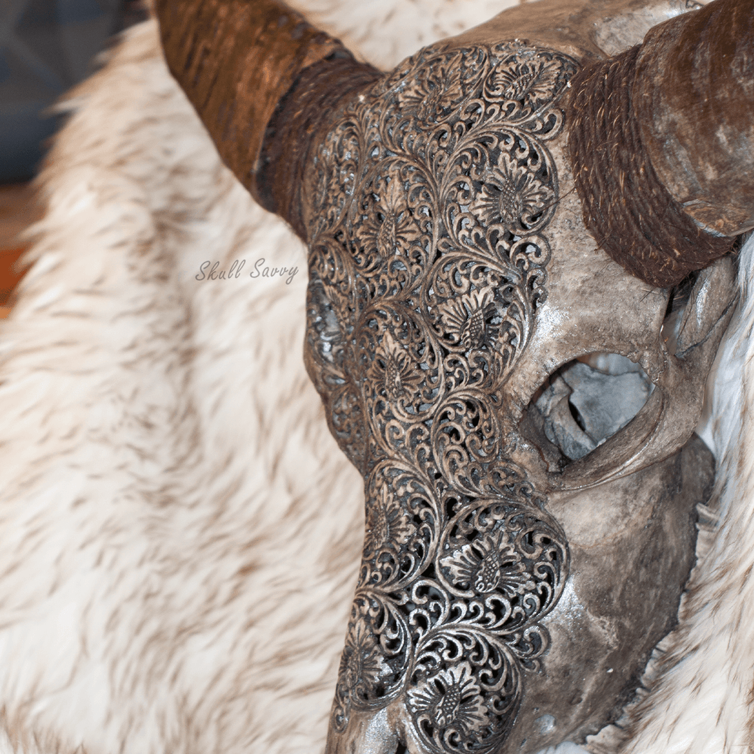 Bun Garden Grey Buffalo Carved Skull