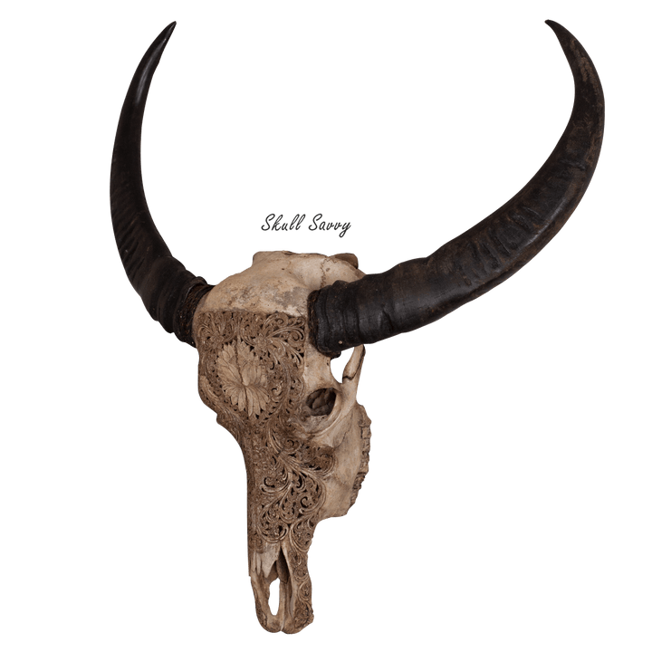 Lotus Evolve Antique Buffalo Carved Skull