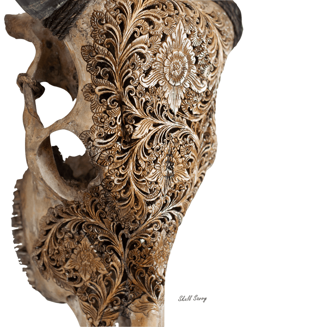Bun Flow Grey Cow Skull