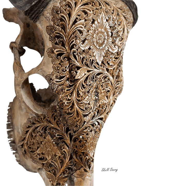 Bun Flow Grey Cow Skull