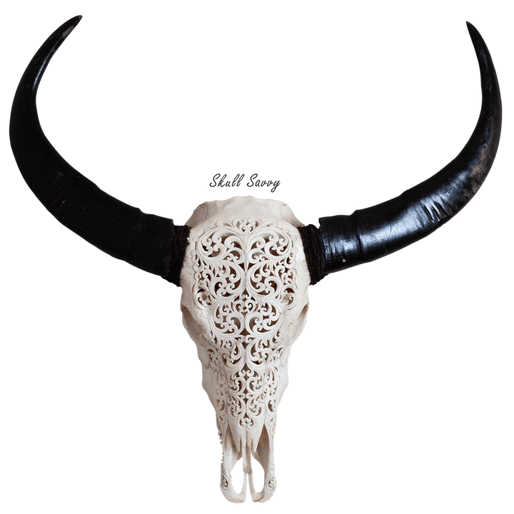 Tora Design Buffalo Carved Skull