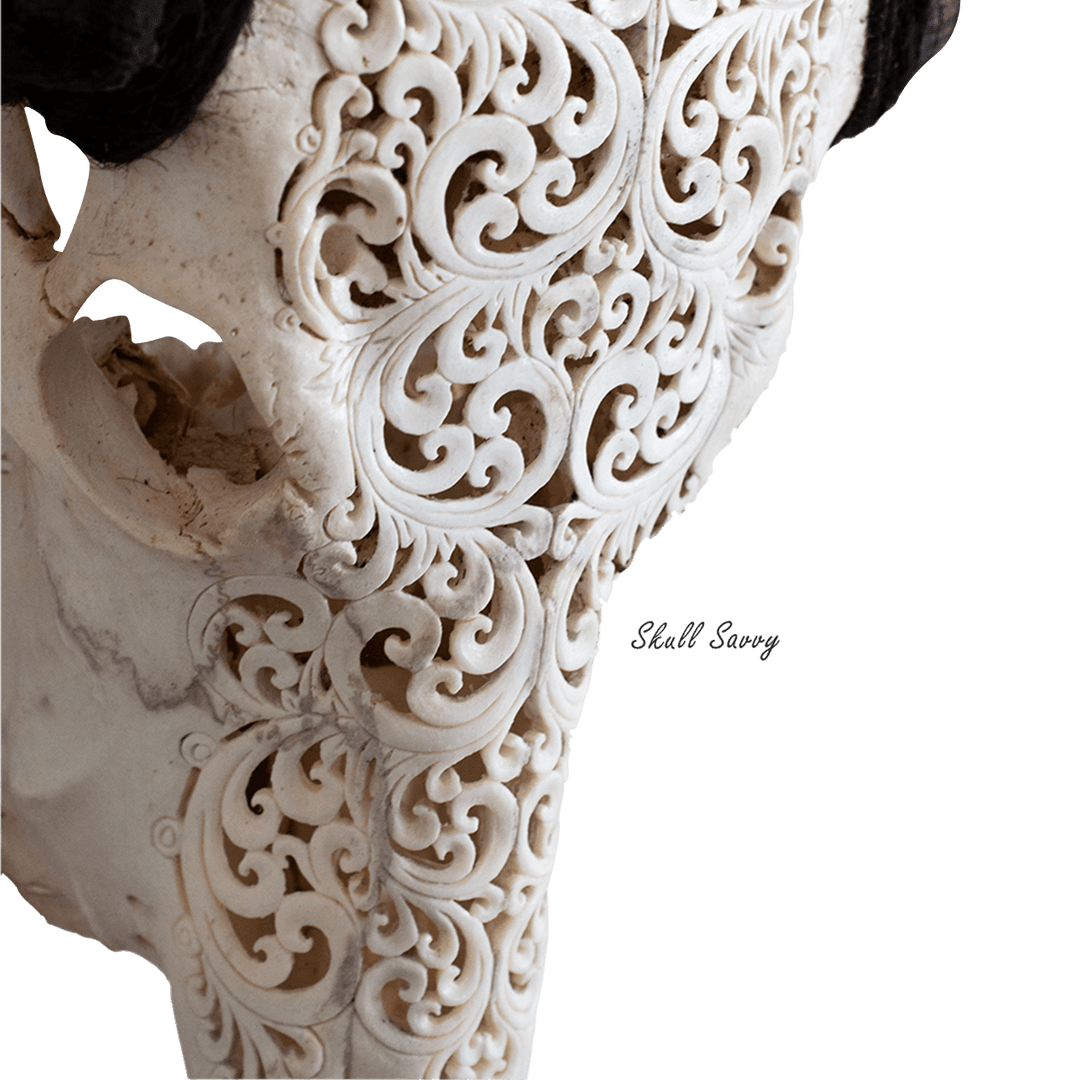 Tora Design Buffalo Carved Skull