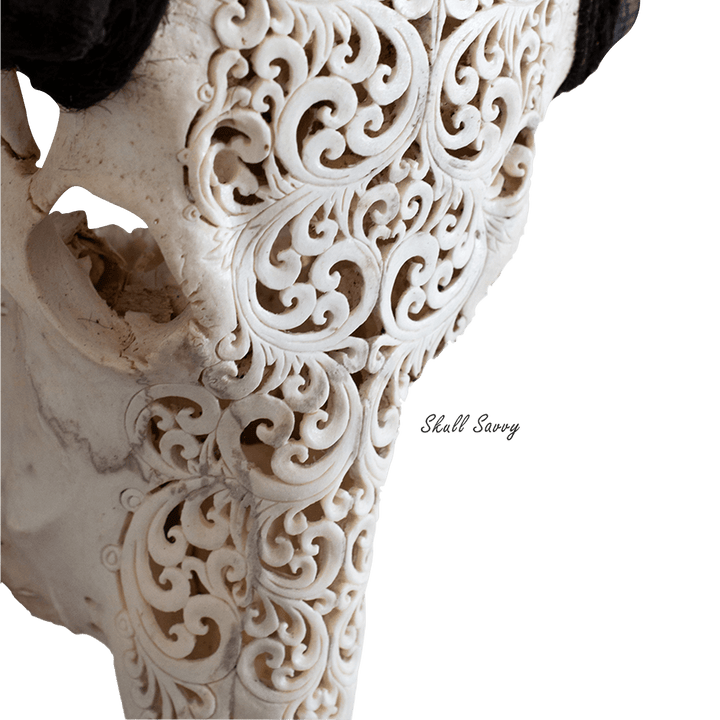 Tora Design Buffalo Carved Skull
