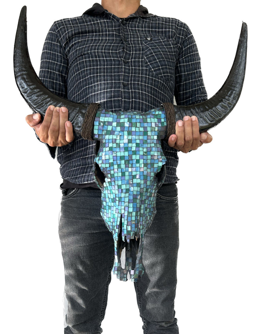 Azure Oasis Cow Skull