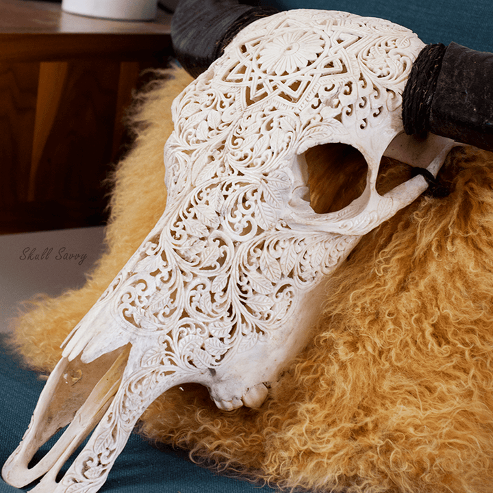 Mandala Turquoise Design Buffalo Skull Carved