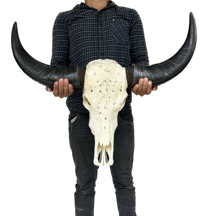 Carved Feather Bull Skull