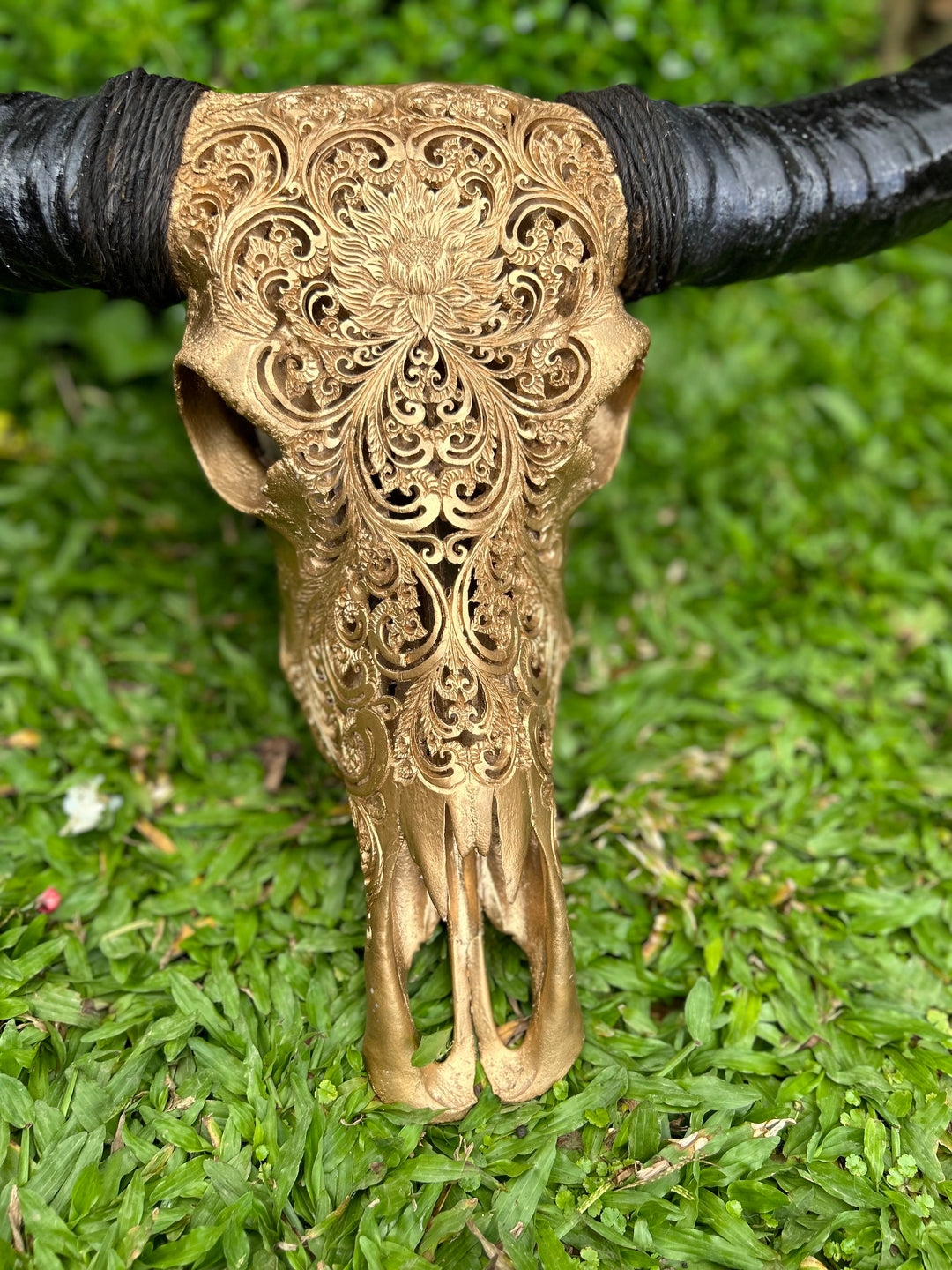 Dew Antique Bull Skull