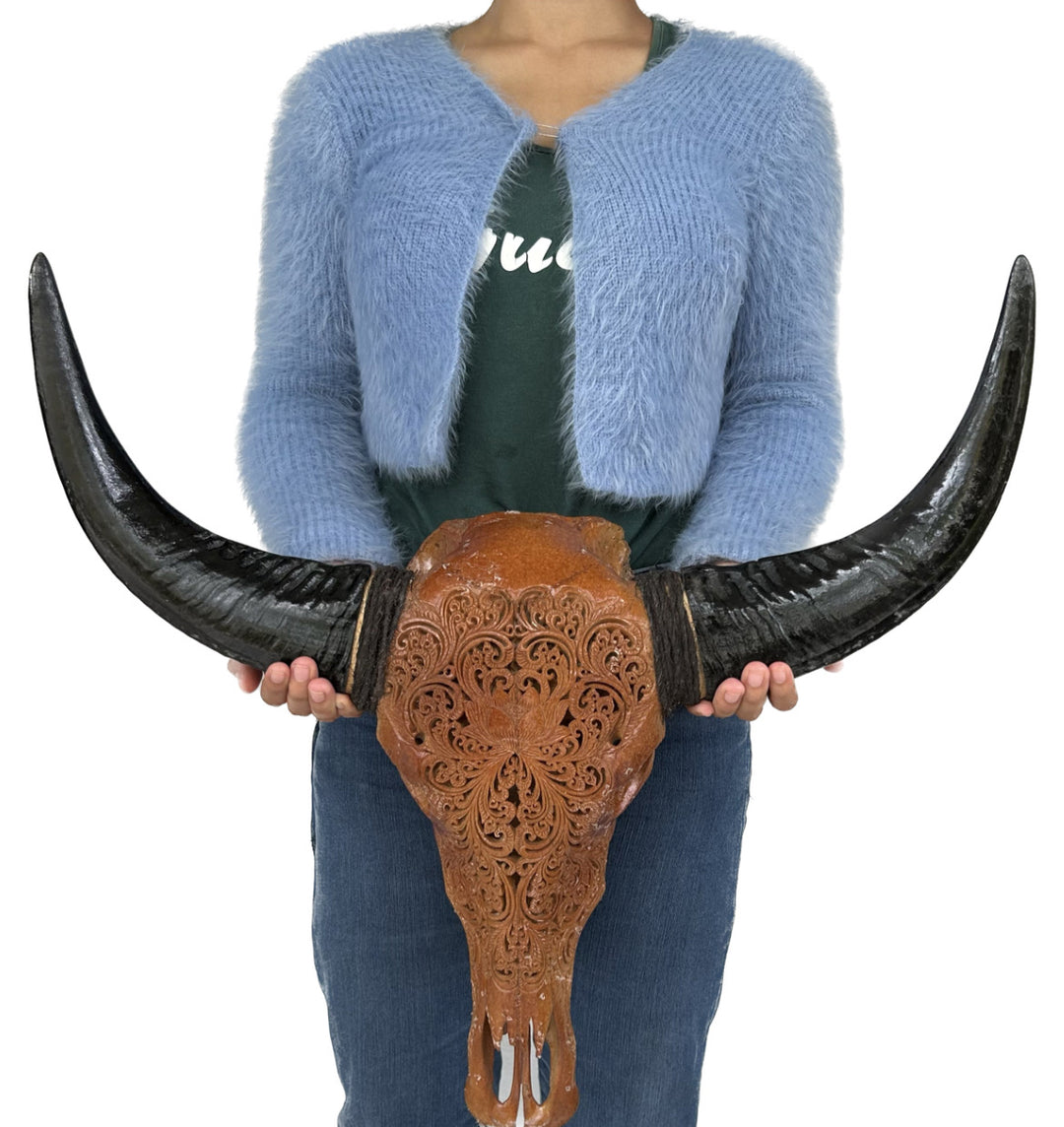 Mocha Antique Bull Skull