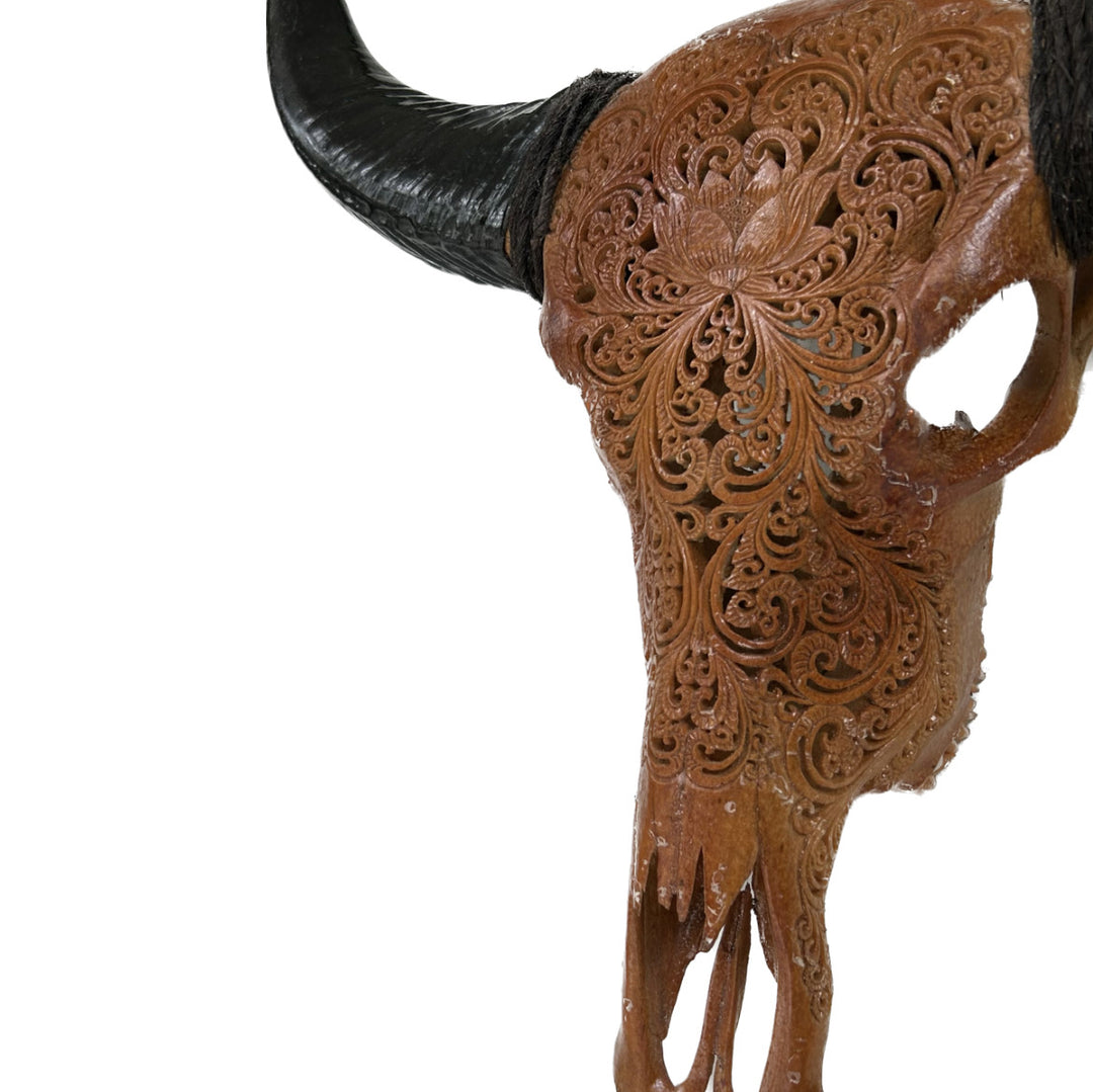 Mocha Antique Bull Skull