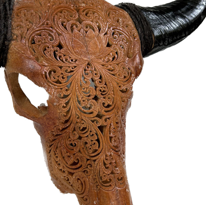 Mocha Antique Bull Skull