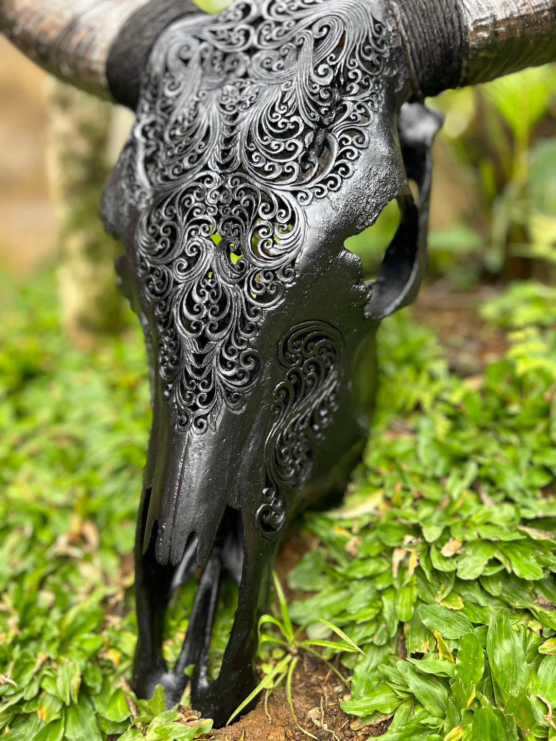 Black Tora Design Cow Carved Skull