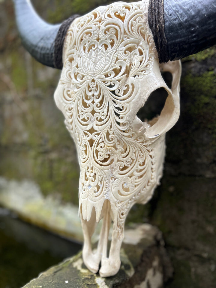 Sacred Lotus Cow Skull