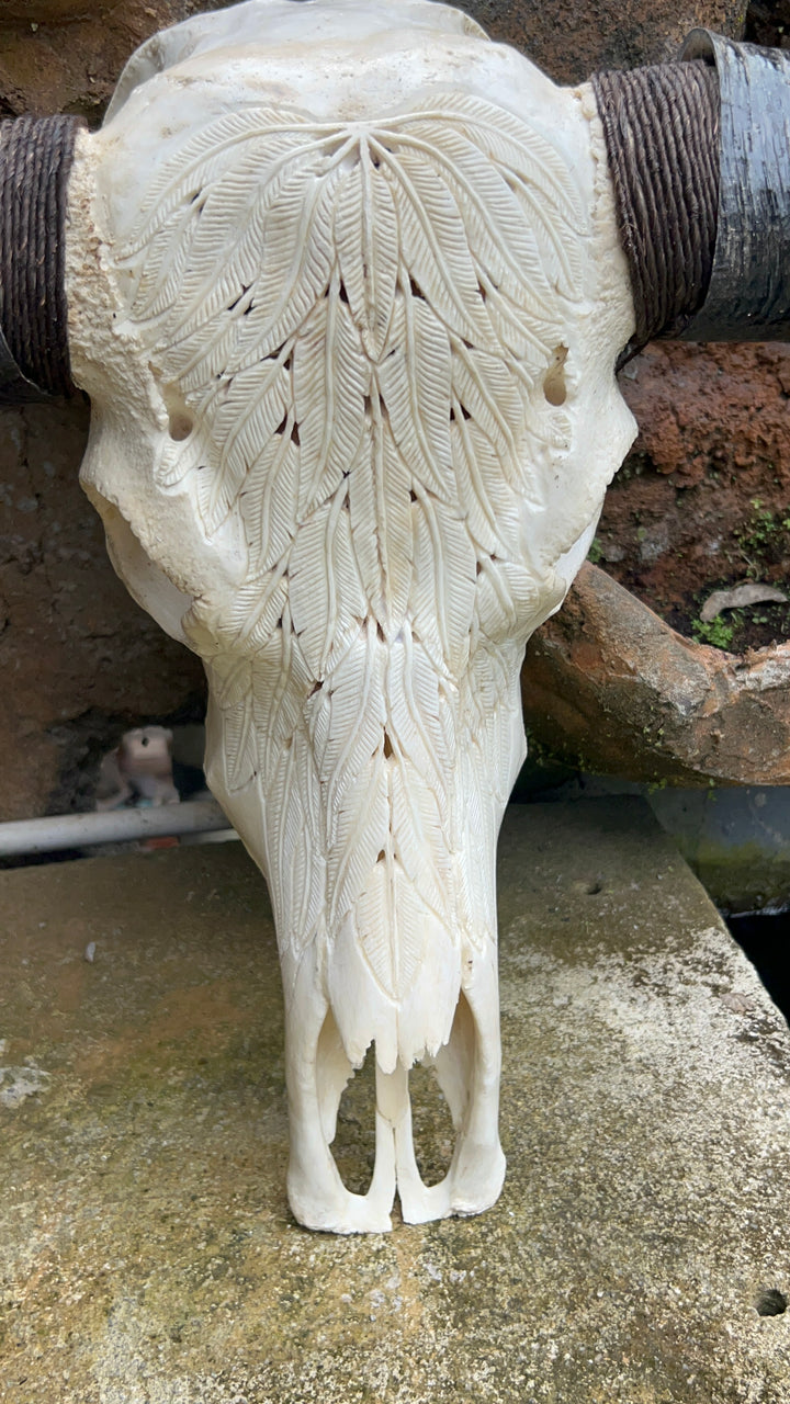 Carved Feather Bull Skull