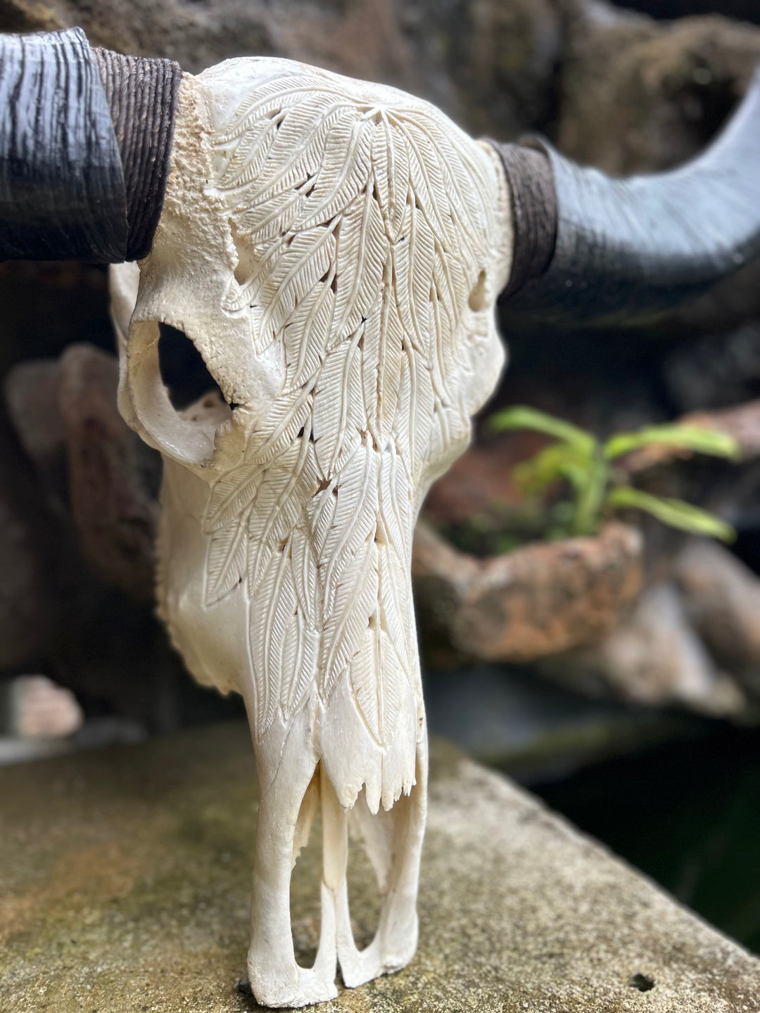 Carved Feather Bull Skull