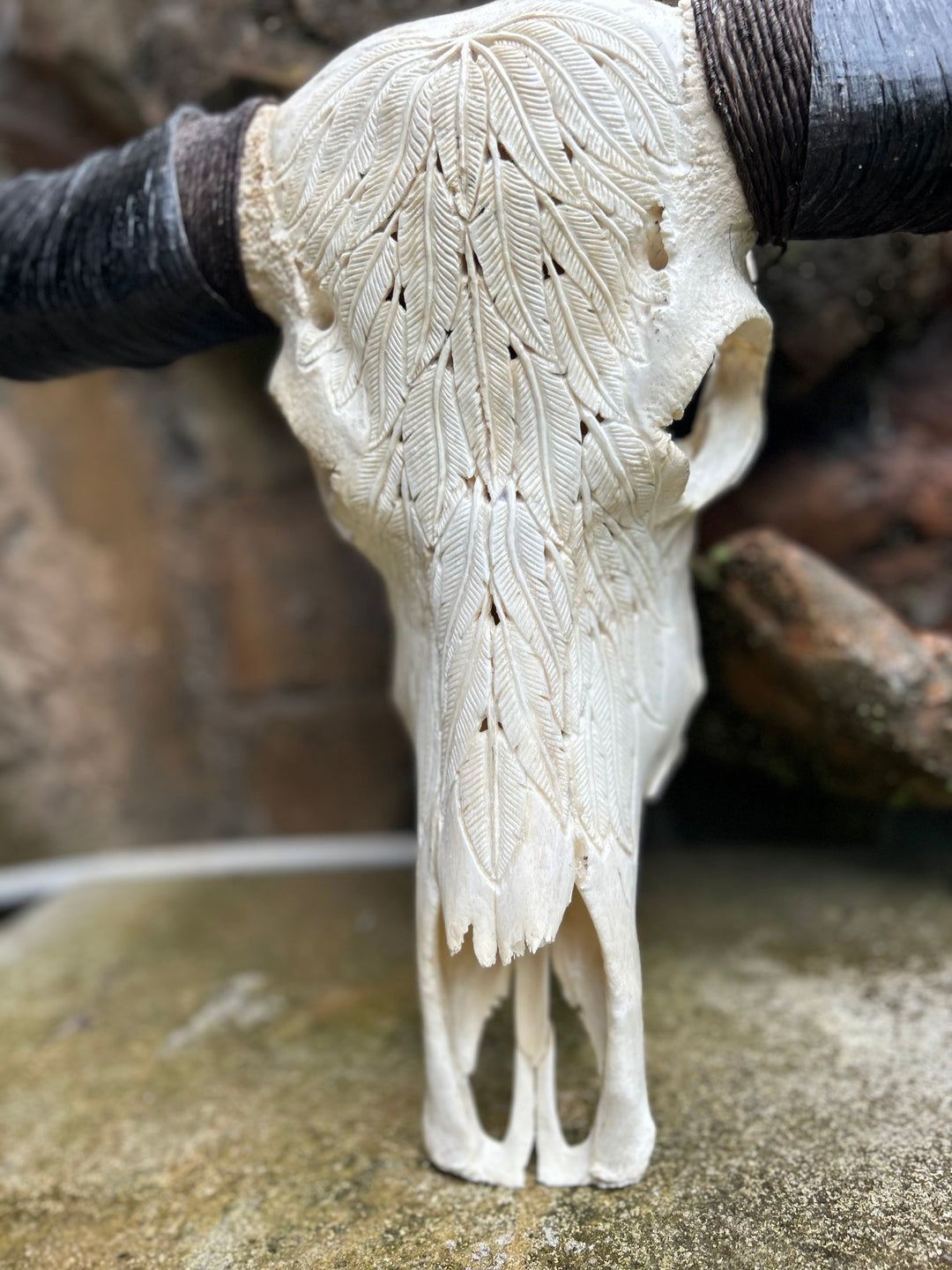 Carved Feather Bull Skull