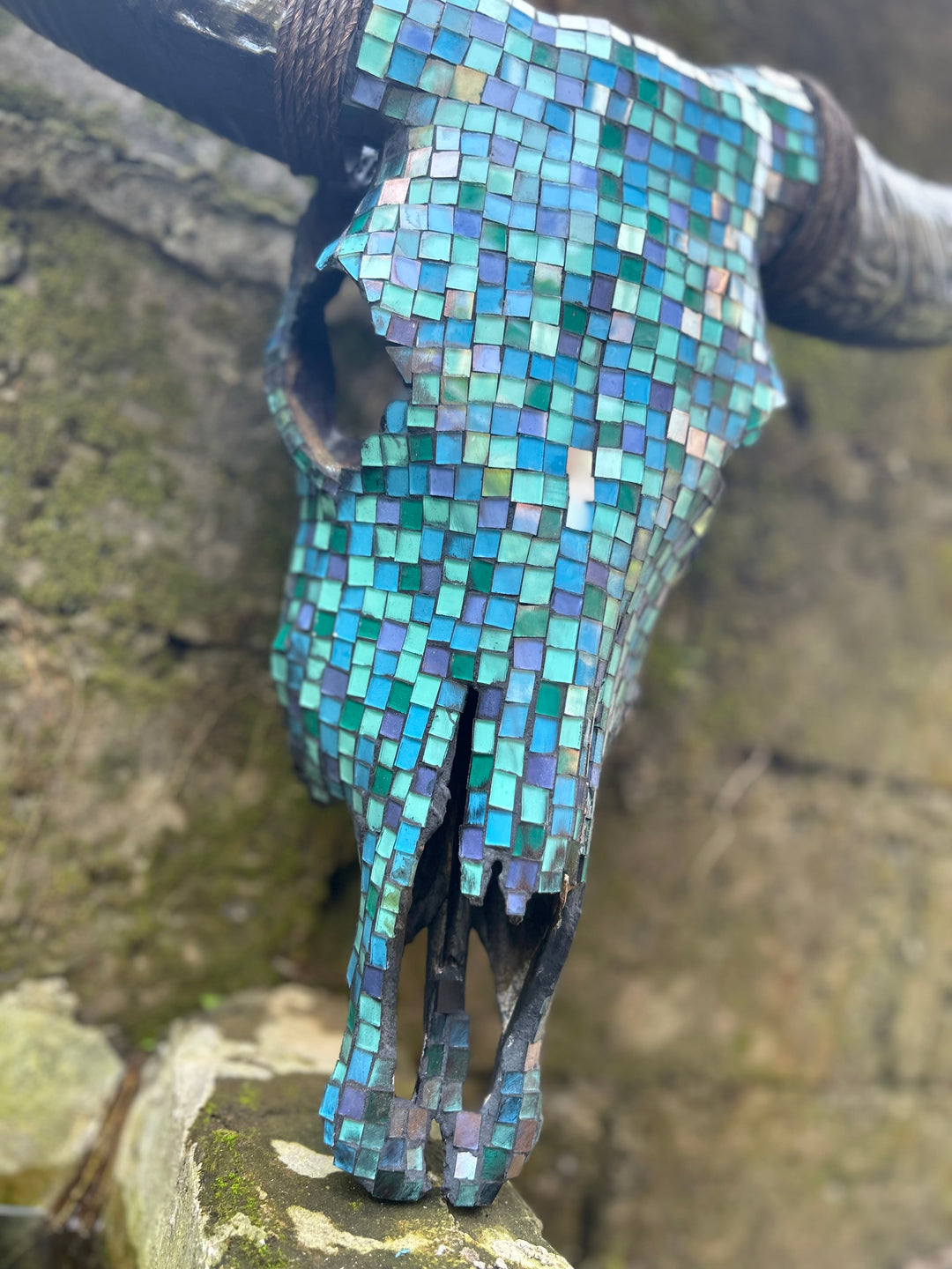 Azure Oasis Cow Skull