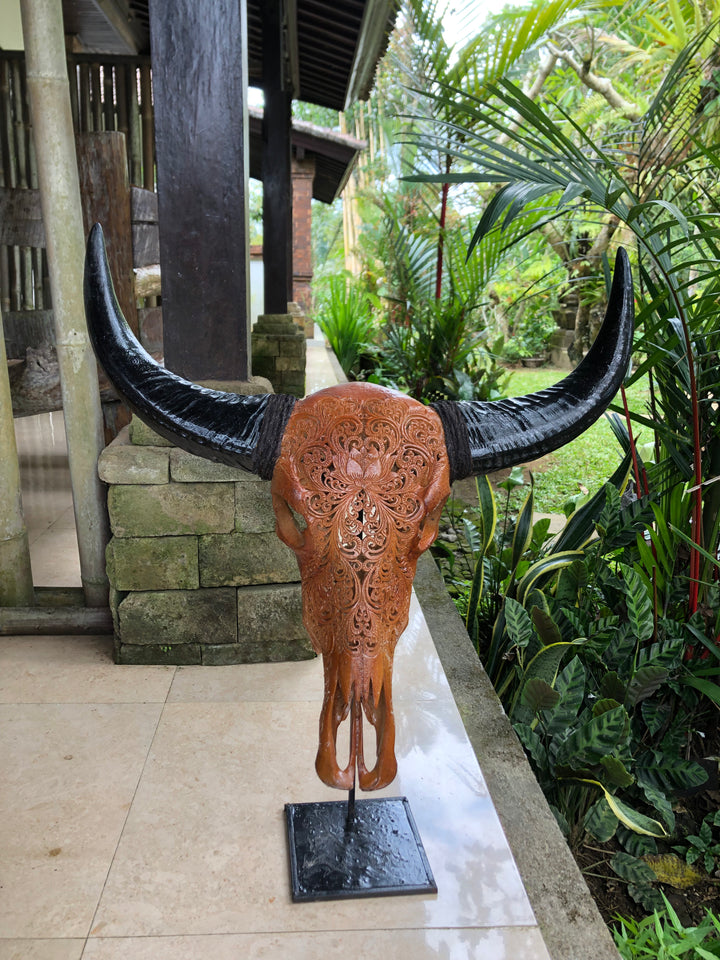 Mocha Antique Bull Skull