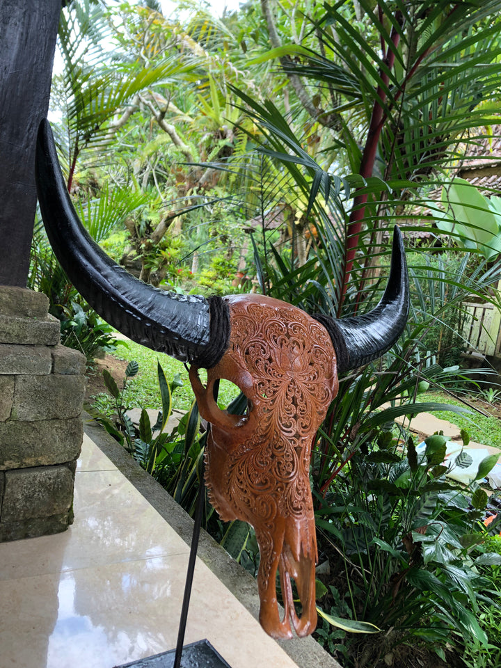 Mocha Antique Bull Skull
