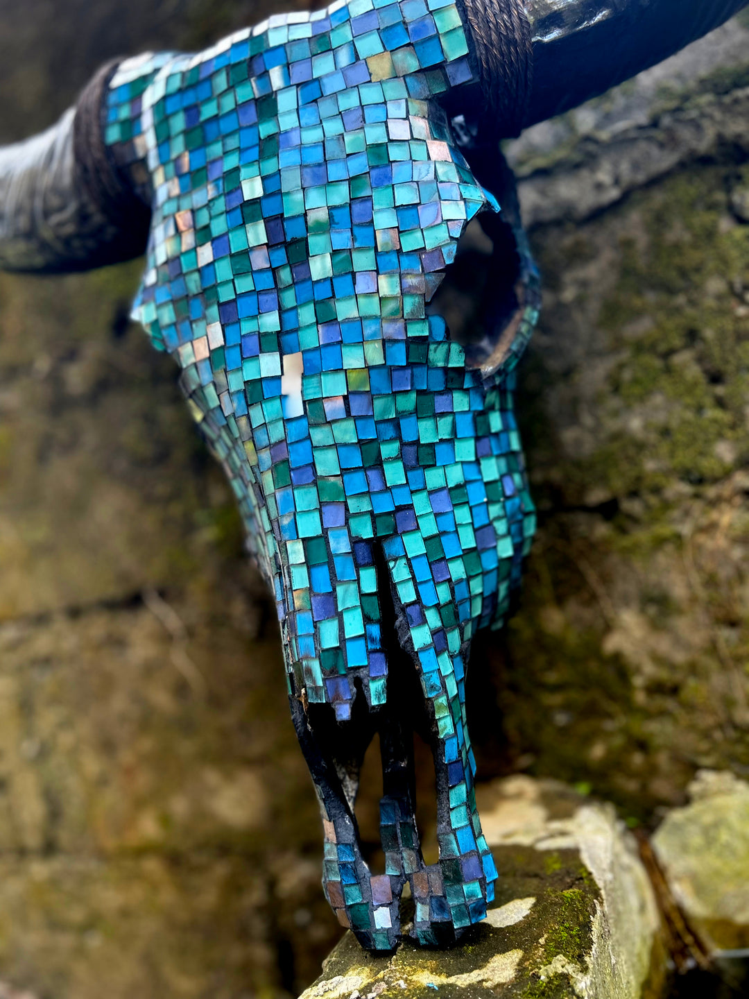 Azure Oasis Cow Skull