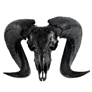 Ram Skull