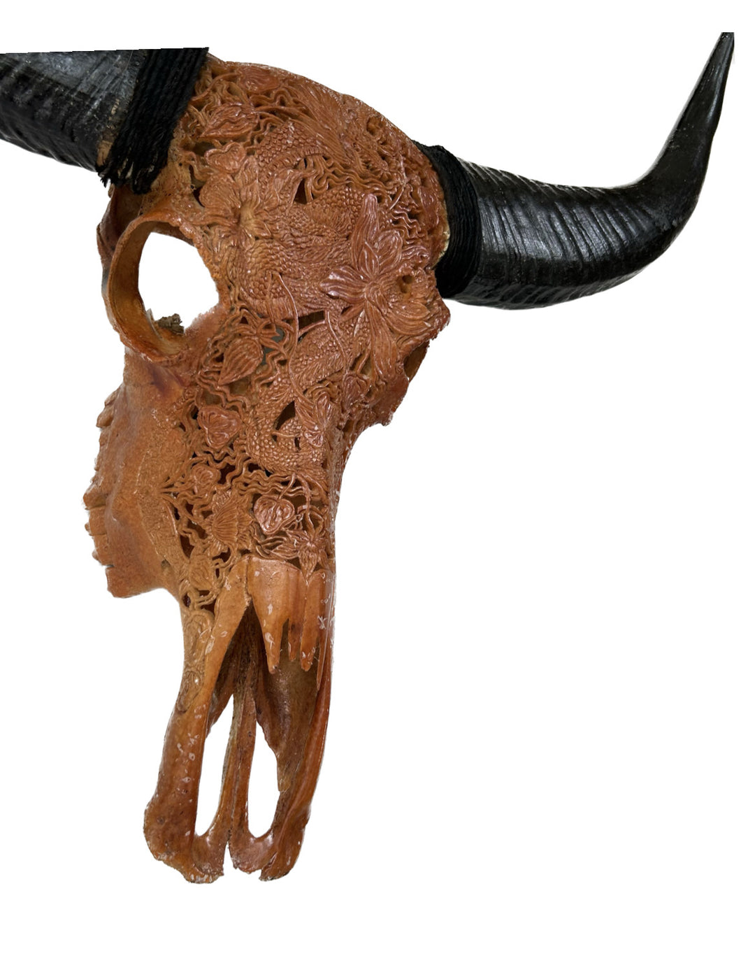Dragon Emperor Bull Skull