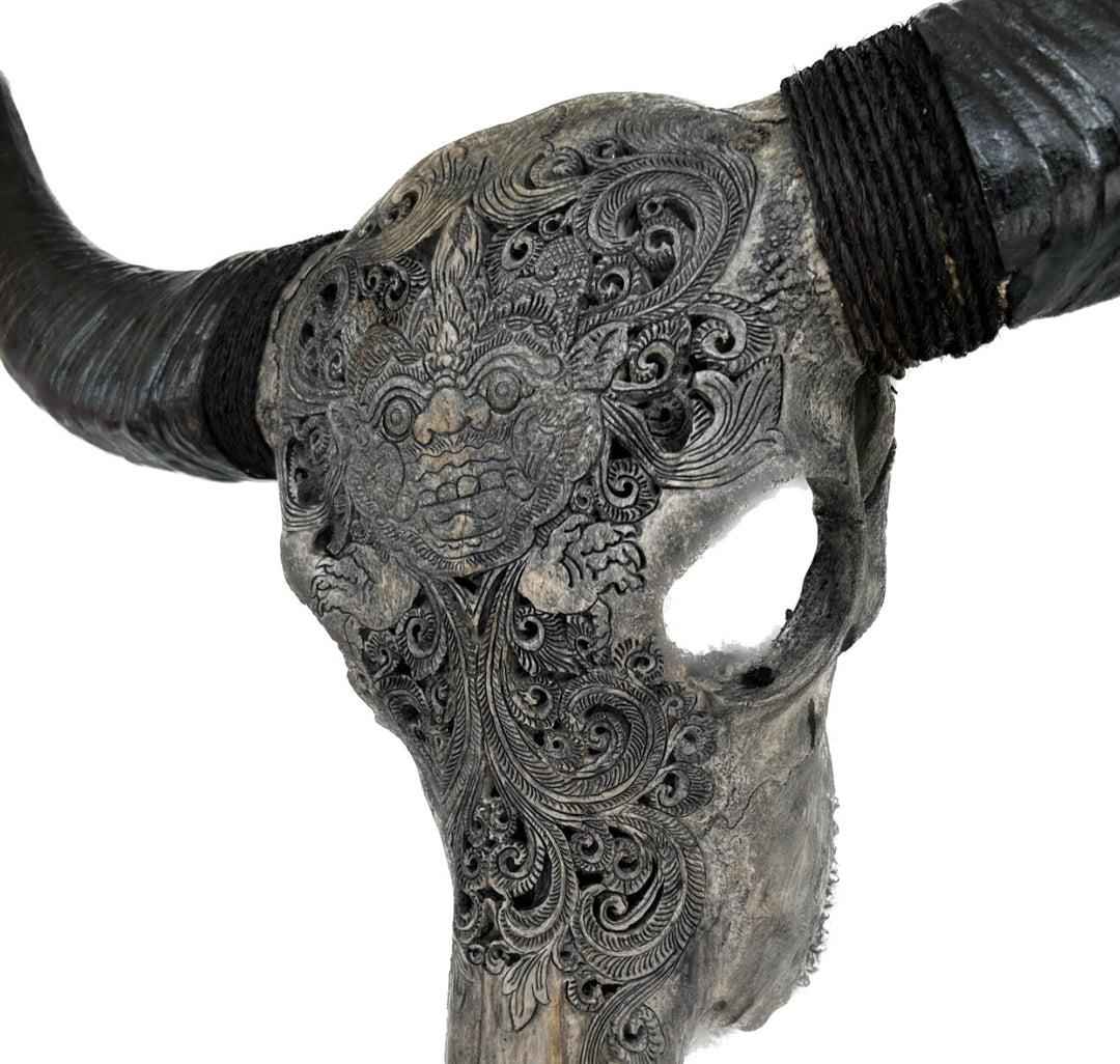 Hell Born Carved Bull Skull