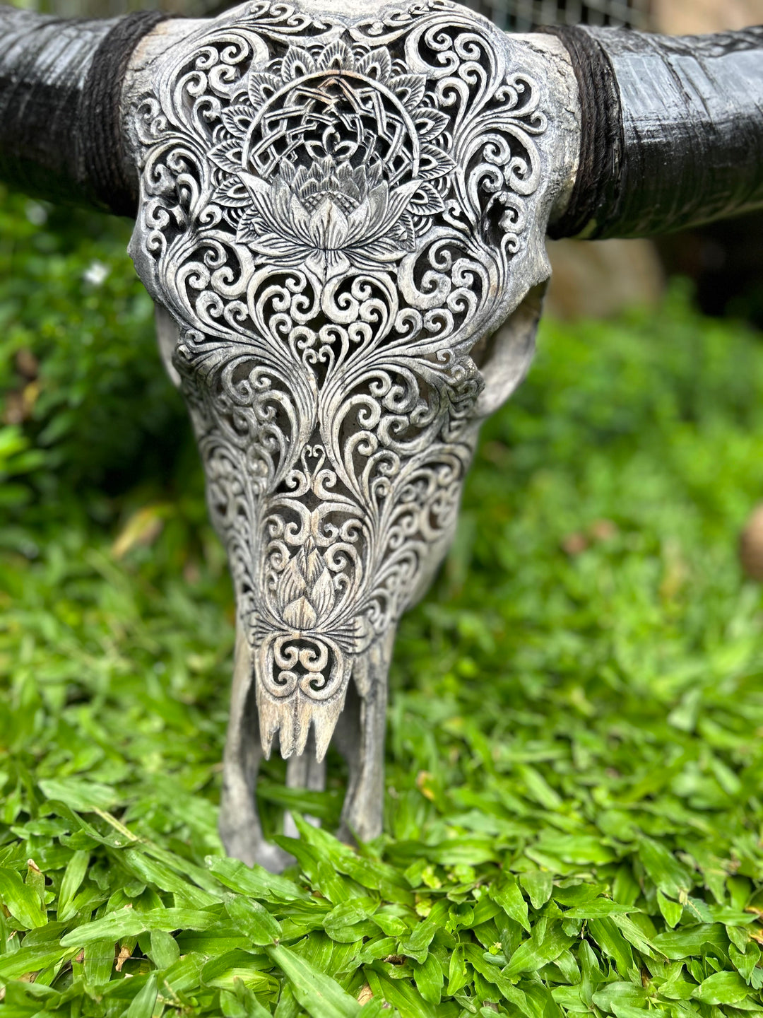 Lotus Mandala Carved Bull Skull