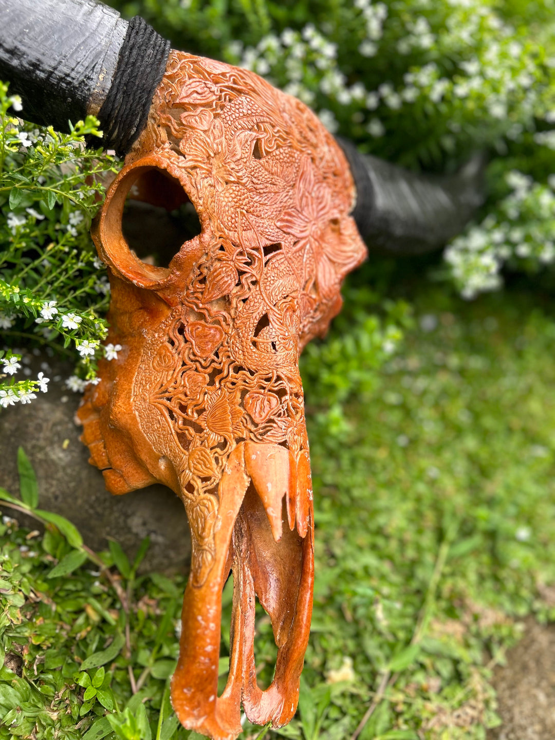 Dragon Emperor Bull Skull