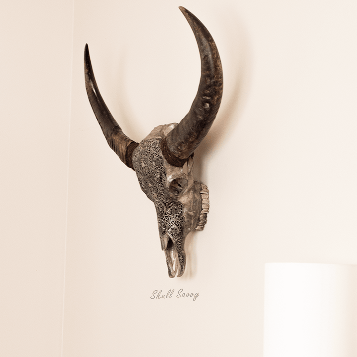 Bun Garden Grey Buffalo Carved Skull