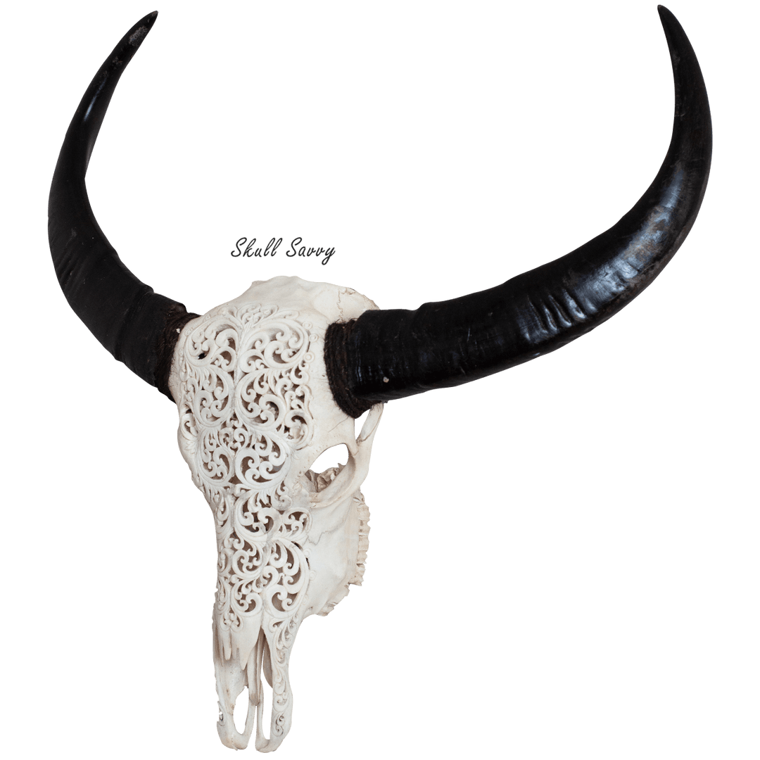 Tora Design Buffalo Carved Skull