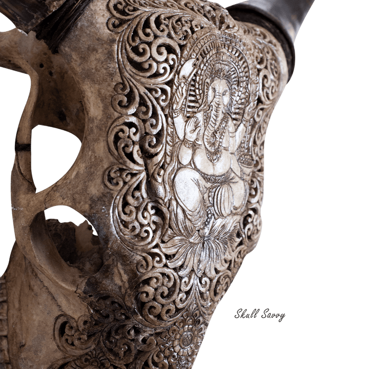 Ghanesa Carved Antique Cow Skull