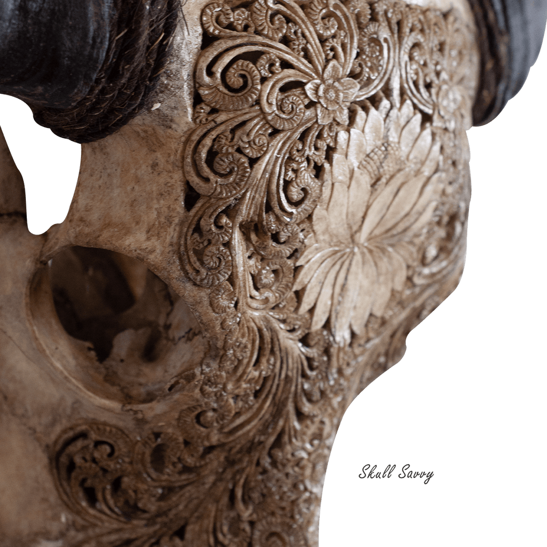 Lotus Evolve Antique Buffalo Carved Skull