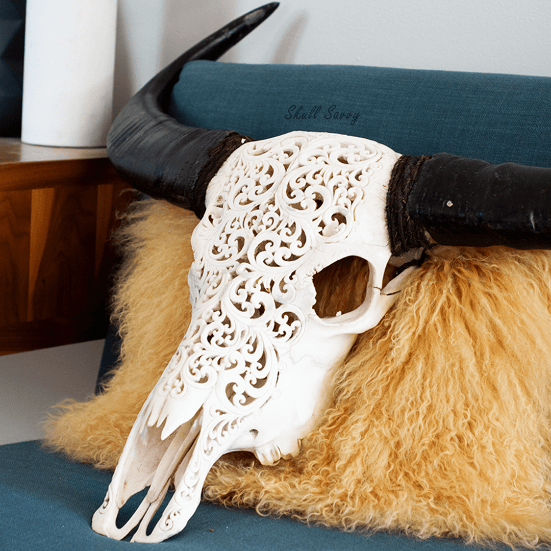 Tora Design Buffalo Carved Skull