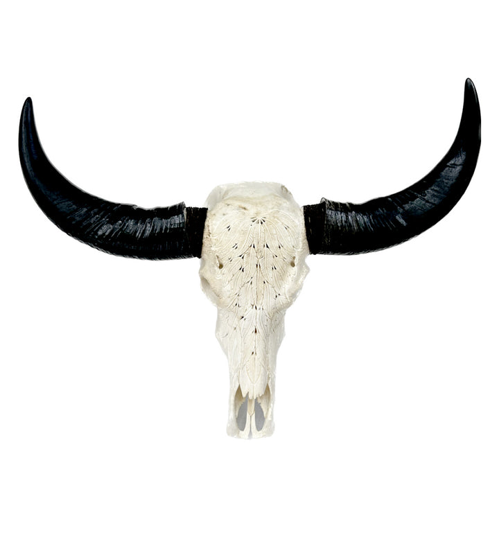 Carved Feather Bull Skull