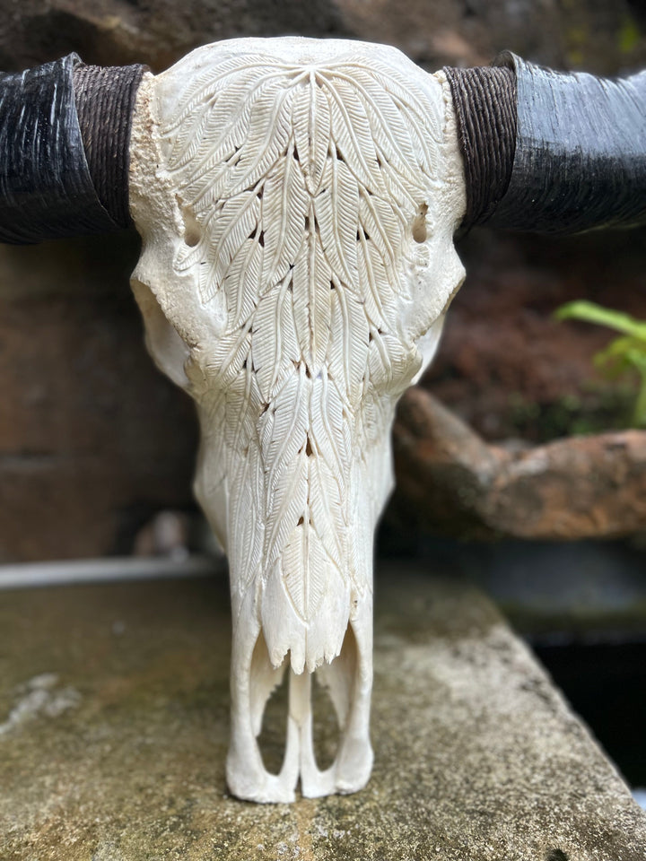 Carved Feather Bull Skull