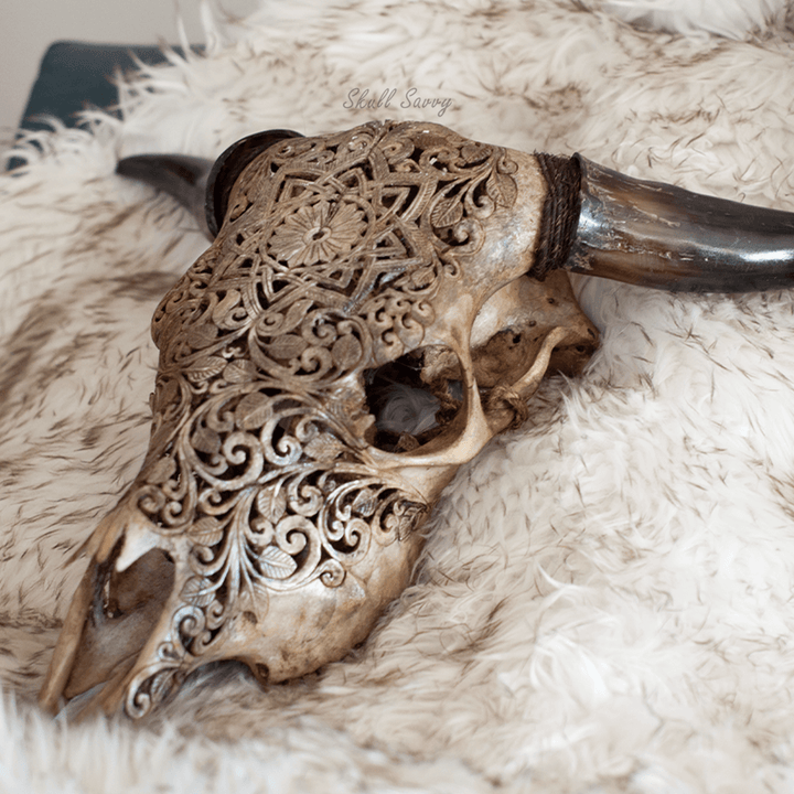 Mandala Antique Cow Skull