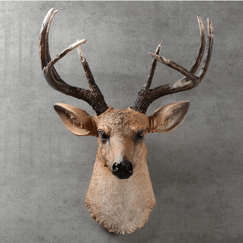Realistic Deer Head